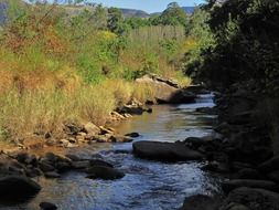 river water veld peaceful landscape