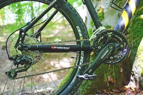 wheel of mountain bike on forest background