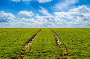 Green field with bald patches