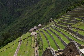 terrace on the hillside