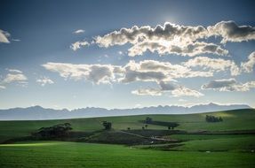 Landscape of Green pasture