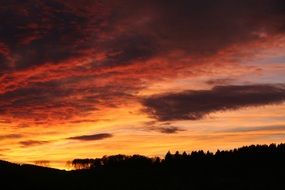 Beautiful sunset in the clouds on the forest