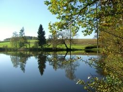 nature is reflected in the water of the lake