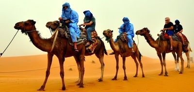 camel riders in the desert of Africa