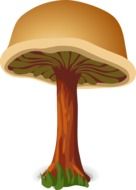 mushroom brown harmless drawing