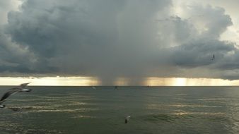 marine rain showers