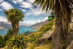 landscape of queenstown in new zealand