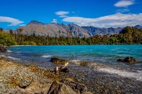 bob&#039;s cove on a lake in new zealand