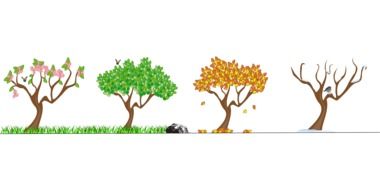 four seasons tree nature clip art