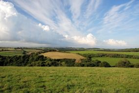 summer meadows in england