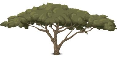graphic drawing of a tree