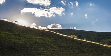 green hillside in back light at sunset