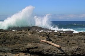 The waves beat on the stone coast