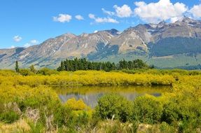 mountain landscape in summer