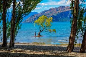 picturesque lake wanaka in New Zealand