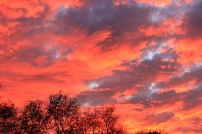 Beautiful, bright and colorful sunset avobe the trees at the end of summer