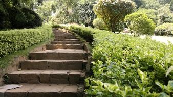 stone steps in a picturesque park in sri lanka