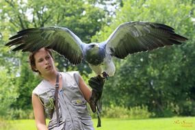 big bird of prey on hand close up