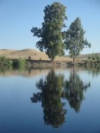 landscape of trees on river shore