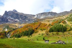 colorful autumn forest in mountains