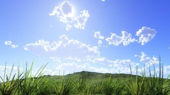 green meadow under clear blue sky