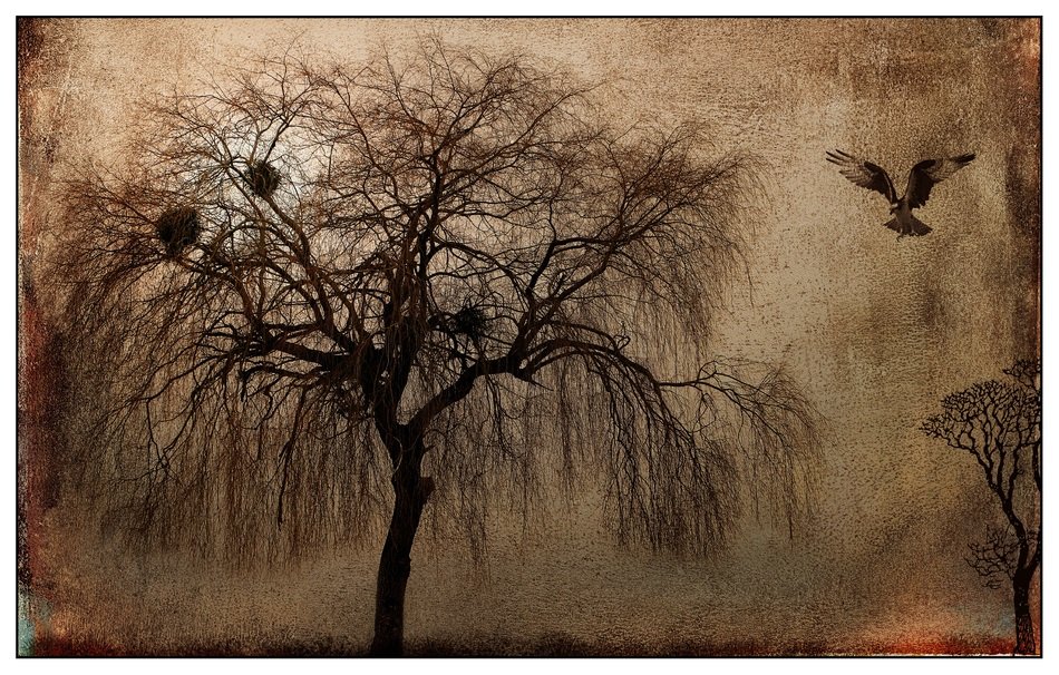 Raptor near the tree