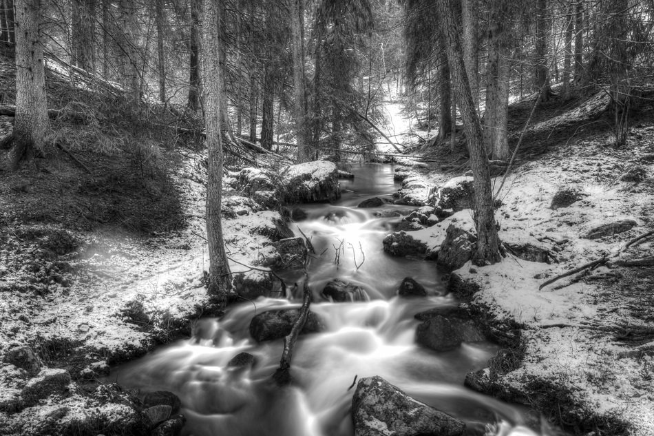 Mountain stream in winter in the reserve of Sweden