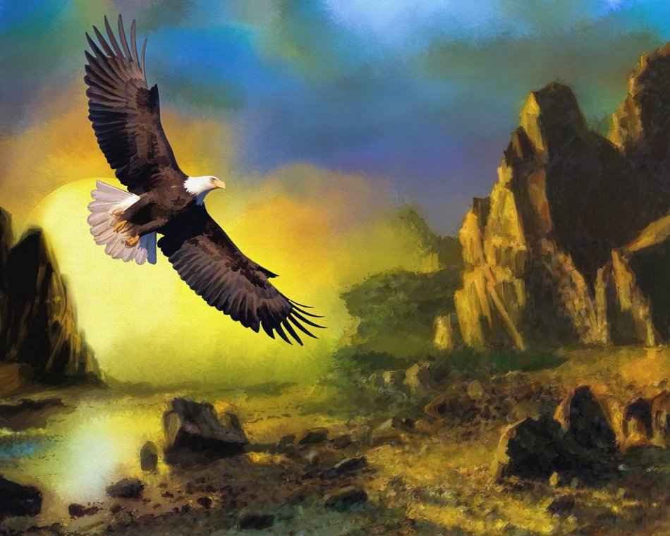 Painting of the eagle and sunset clipart