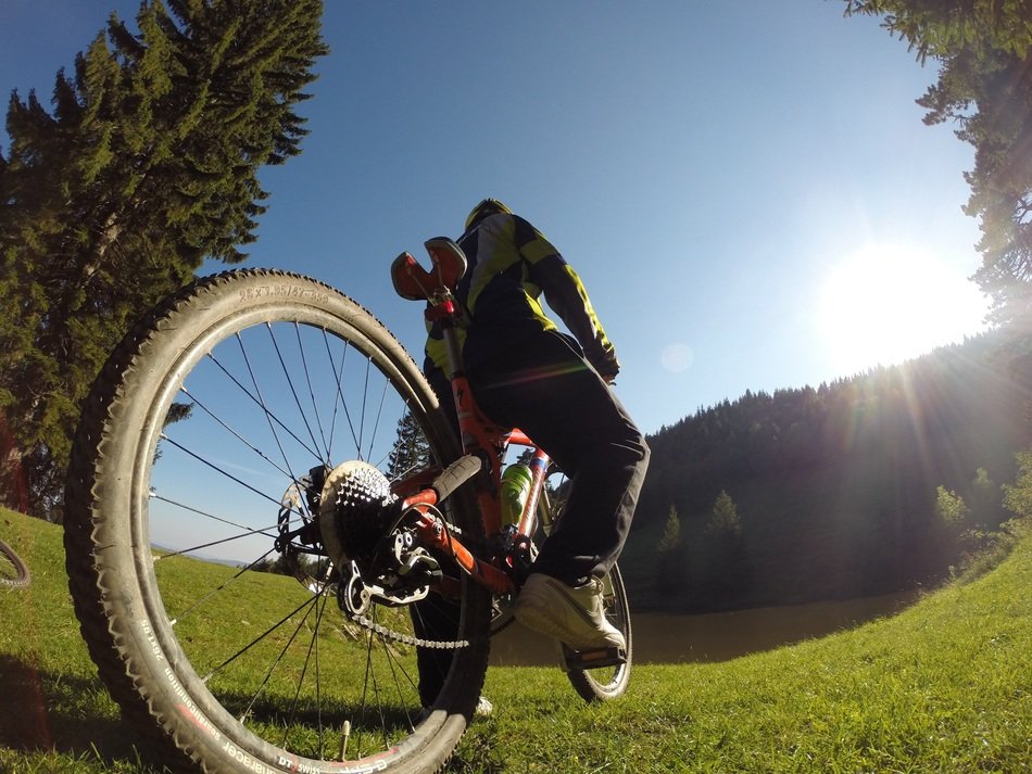 back view of man with bike on lawn at summer