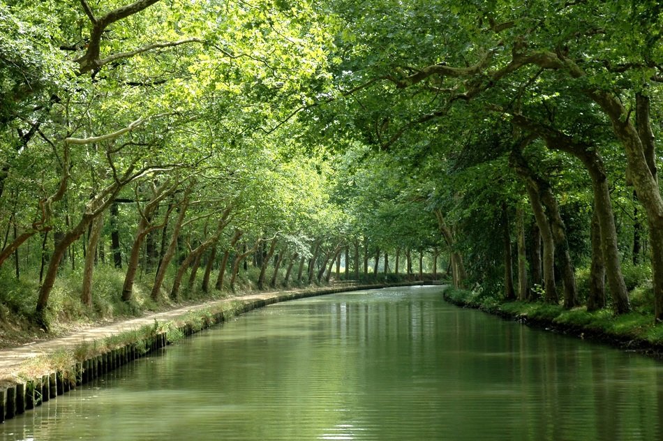 greenchannel landscape