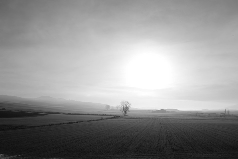 Landscape with the dawn on the horizon