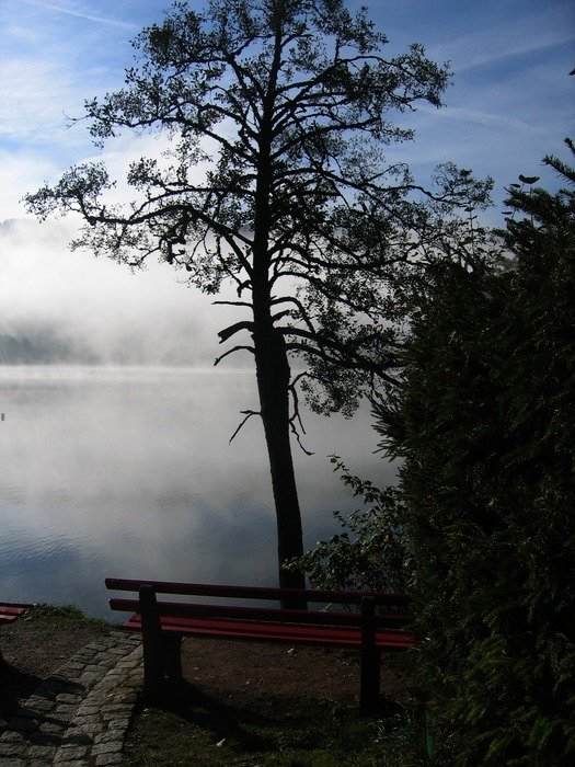 landscape of Bank near the water