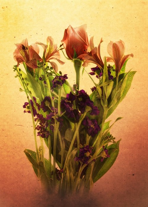 bouquet of wild tulps