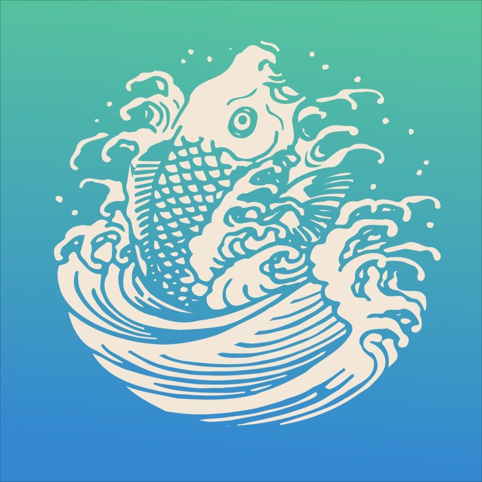 fish picture