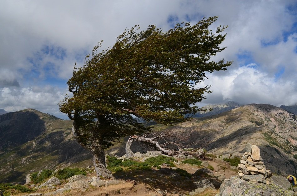 corsican mountain wind