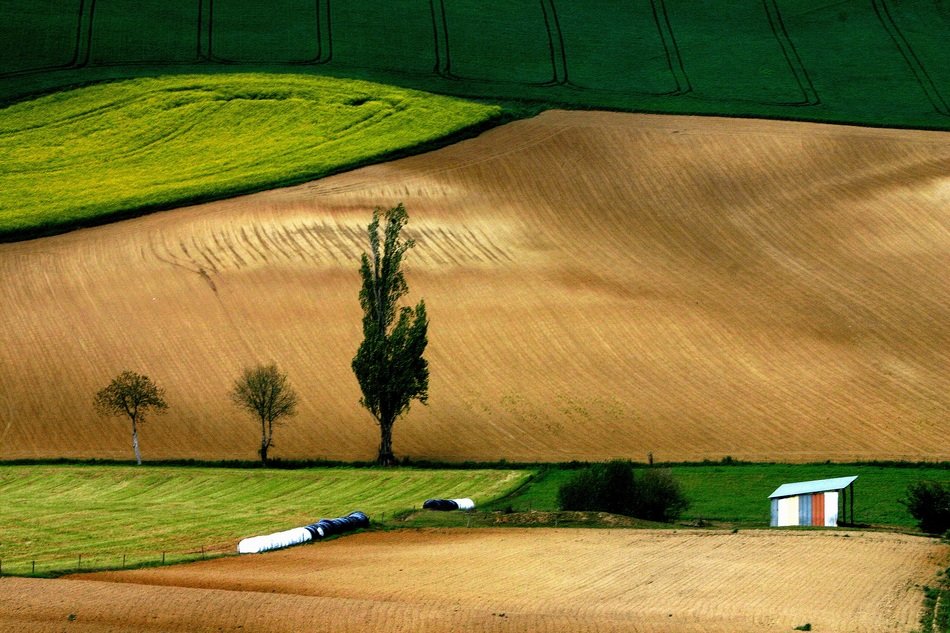 bewitching field hills