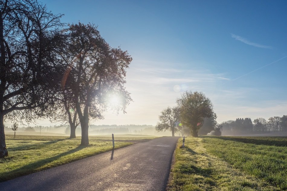 empty road in field at sunrise