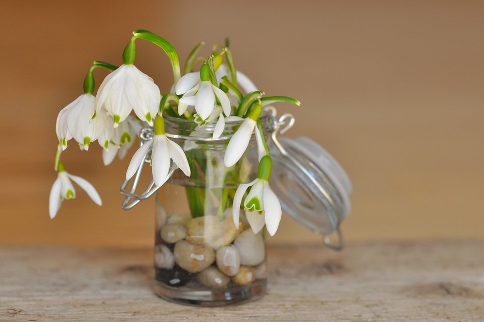 lily of the valley spring flower in the glass