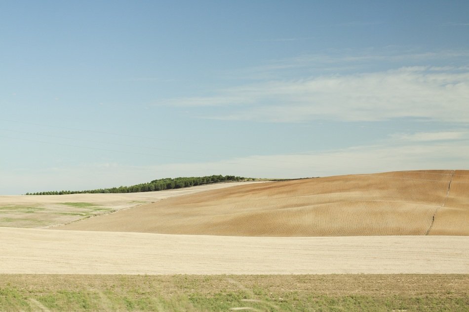 Landscape of desert field