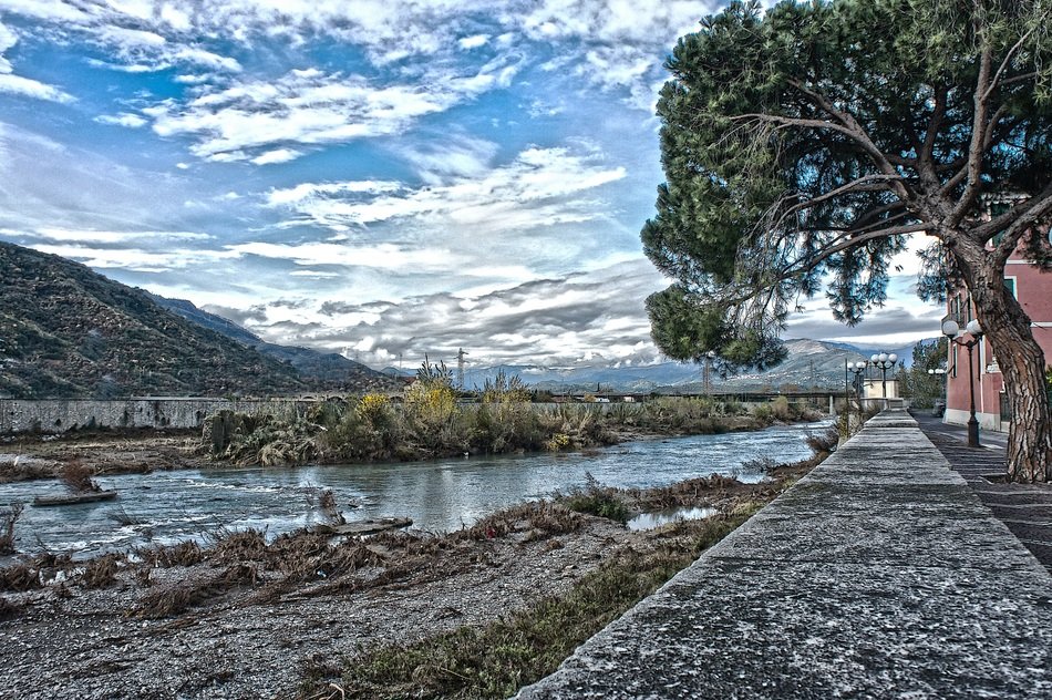 Tree near the trail by the river on beautiful landscape in Albenga, Liguria, Italy