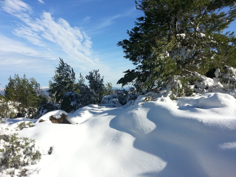 winter frost landscape