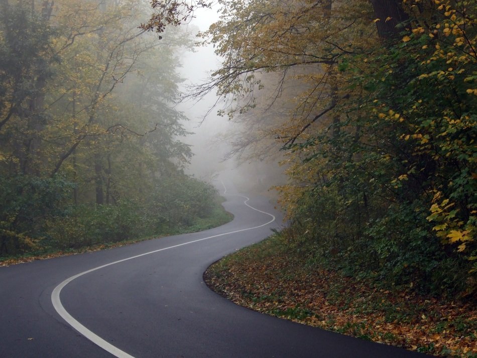 road turn in the autumn forest