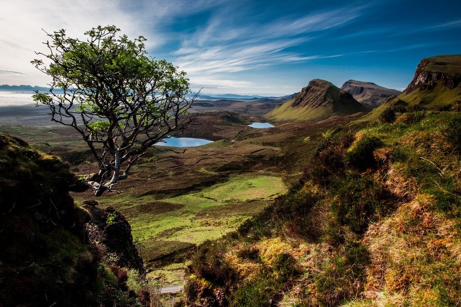 Landscape of beautiful Quairaing with plants in Scotland
