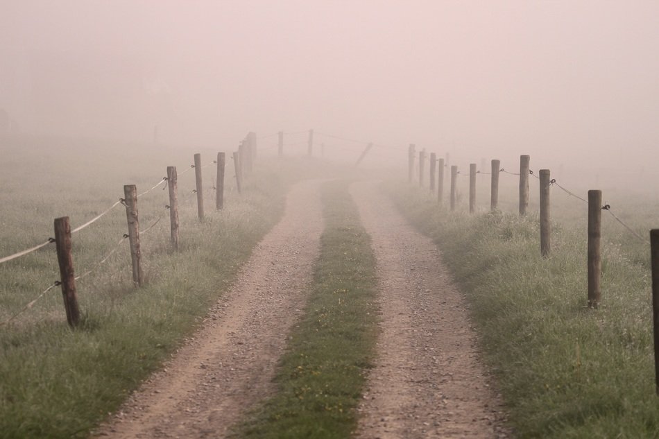 fence near the road in the fog
