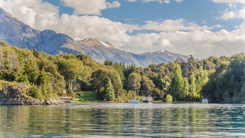 green trees by the lake in Nahuel Huapi