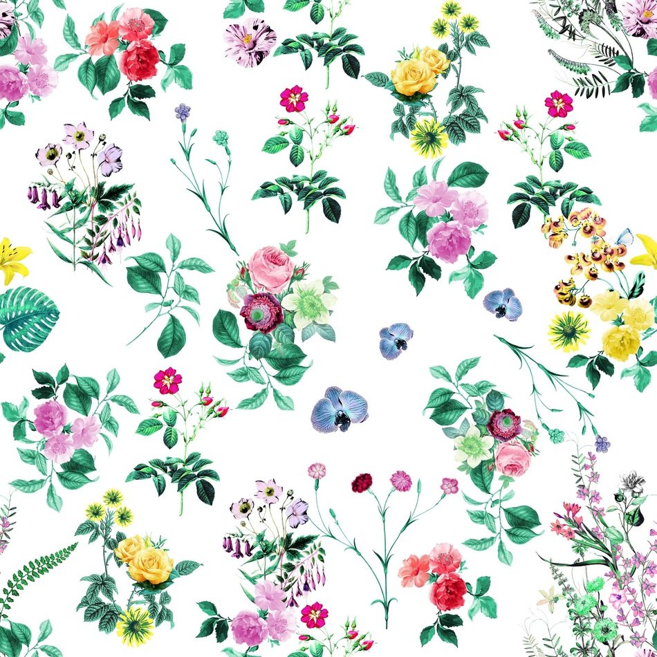 clipart of colorful tropical flowers background