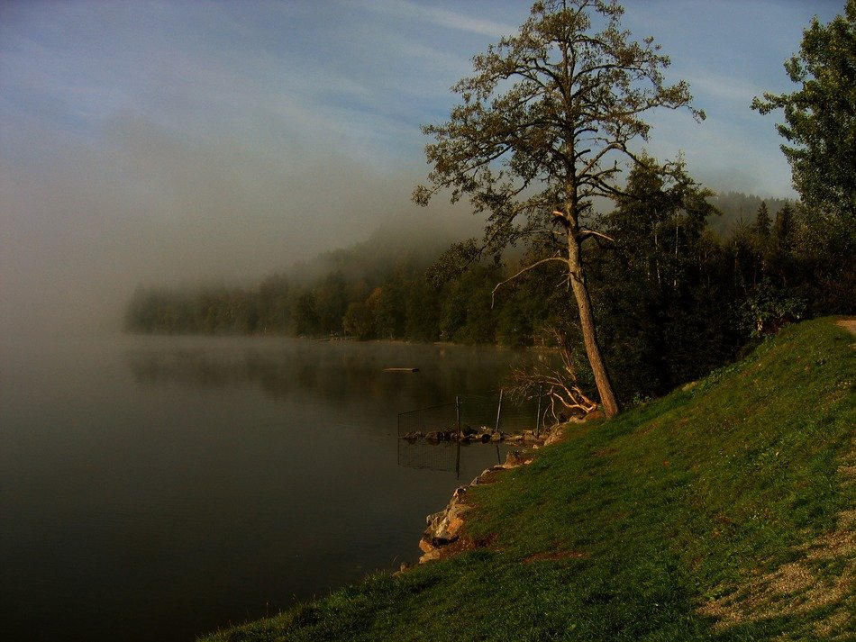 atmosphere of autumn on the titisee