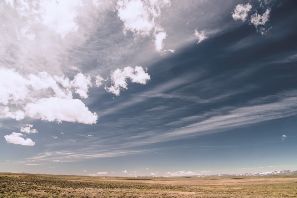 Landscape of the desert field