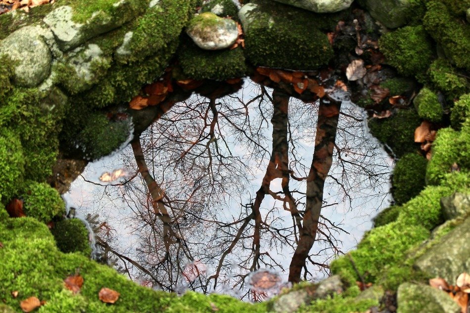 stones with moss around the source