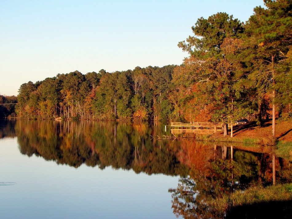 photo of autumn forest along the lake